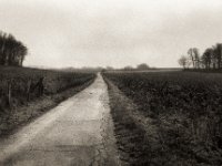 Fürstenberg Hügel  Pentax LX, SMC FA 1.8/43 Limited, Bergger Pancro400 - 18.12.2021 -