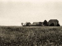 Rapsfeld mit Bauernhof  Pentax LX, SMC FA 1.8/43 Limited, Bergger Pancro400  - 18.12.2021 -