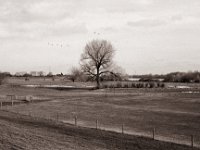 Rheinvorland  Pentax MZ-S, SMC FA  1.9/43 Limited, Adox CHS100II  - 19.02.2021 -