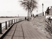 Promenadenufer  Pentax MZ-S, SMC FA  1.9/43 Limited, Adox CHS100II  - 19.02.2021 -