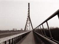 Weseler Rheinbrücke  Pentax K2, SMC 1.4/50, Adox CHS100II@64 - 22.02.2021 -