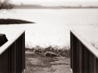 Geländer mit Aussicht  Pentax K2, SMC 2.5/135 Takumar Bayonet, Adox CHS100//@64