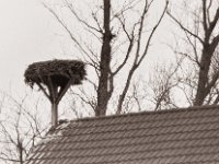 Noch nicht besetzt  Pentax K2, SMC 2.5/135 Takumar Bayonet, Adox CHS100//@64 - 22.02.2021 -