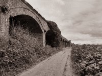 Am alten Eisenbahnviadukt  Pentax 645N, SMC-FA 2.8/45, Fuji Acros 100II@64 - 22.03.2021 -
