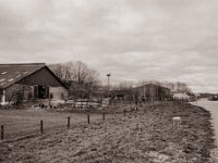 Das Storchenpaar ist wieder da  Pentax 645N, SMC-FA 2.8/45, Fuji Acros 100II@64  - 22.03.2021 -