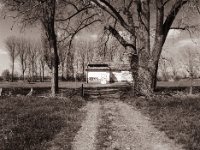 Sperrung des Weges  Pentax 645N, SMC FA 2.8/45, Gelbfilter, Bergger Pancro400@200 - 23.04.2021 -
