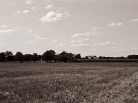 Stoppelfeld  Pentax Super A, SMC FA 1.8/43 Limited, Adox CHS100II  - 23.08.2021 -