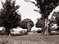 Fern der Osterinsel  Pentax Super A, SMC FA 1.8/43 Limited, Adox CHS100II - 23.08.2021 -