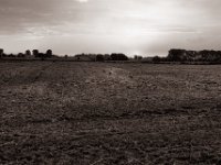 Storch im Licht  Pentax SuperA, SMC FA 1.8/43 Limited, Adox CHS100II  - 23.08.2021 -