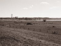 Schwemmholzhaufen in den Rheinwiesen  Pentax MZ-S, SMC FA 1.9/43 Limited, Gelbfilter, Adox CHS 100II@64