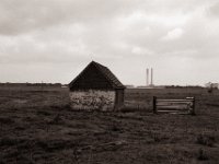 Minihaus auf der Weide  Yashica FR 1, Zeiss Planar 1.4/50, Adox CHS100II  - 25.08.2021 -