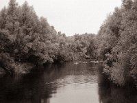 Wasserwanderer  Pentax Super A, SMC Pentax-M 2.8/40;  Orange Filter, Bergger Pancro400@200  - 25:06.2021 -