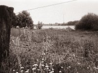 Weide und Fluss  Pentax Super A, SMC Pentax-M 2.8/40;  Orange Filter, Bergger Pancro400@200  - 25:06.2021 -