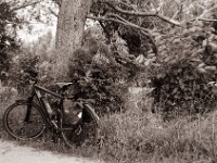 Kurze Pause  Pentax Super A, SMC Pentax-M 2.8/40;  Orange Filter, Bergger Pancro400@200  - 25:06.2021 -