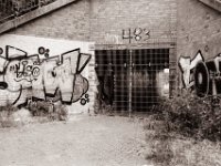 483 frontal  Pentax Super A, SMC Pentax-M 2.8/40;  Orange Filter, Bergger Pancro400@200  - 25:06.2021 -