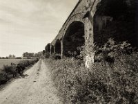 Weg am alten Viadukt  Pentax 67II, SMC 4.0/45, Fuji Acros 100II  - 26.09.2021 -