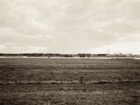 Rheinwiesen  Pentax 67II, SMC 4.0/45, Fuji Acros 100II  - 26.09.2021 -