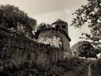 Der Mäuseturm in den Rheinwiesen bei Duisburg Alsum  Pentax 67II, SMC 4.0/45, Fuji Acros 100II  - 26.09.2021 -