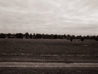 Land hinterm Deich  Pentax 645N, SMC FA 2.8/45, Bergger Pancro400  - 27.10.2021 -