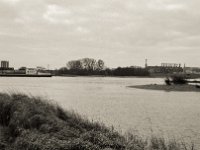 Kleine Insel im Rhein  Pentax 6x7, SMC Takumar 4.5/75, Bergger Pancro400 - 29.12.2021 -