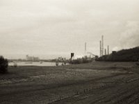 Der Rhein beim verschwundenen Stadtteil Alsum  Pentax 6x7, SMC Takumar 4.5/75, Bergger Pancro400  - 29.12.2021 -