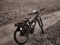 Hinterm Rheindeich  Pentax 6x7, SMC Takumar 4.5/75, Bergger Pancro400 - 29.12.2021 -