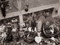 Unvergessen  Pentax 6x7, SMC Takumar 4.5/75, Bergger Pancro400  - 29.12.2021 -