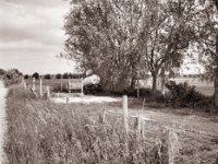 Wasserausgabe  Fuji GS645S professional WIDE60, Fuji Acros 100II@64  - 29.05.2021 -