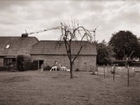 Alpaka  Fuji GS645S professional WIDE60, Fuji Acros 100II@64  - 29.05.2021 -