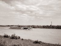 Oscar Wild  Fuji GS645S professional WIDE60, Fuji Acros 100II@64  - 29.05.2021 -