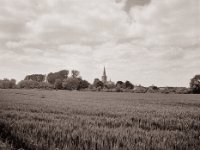 Back to the village  Fuji GS645S professional WIDE60, Fuji Acros 100II@64  - 29.05.2021 -