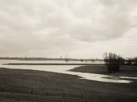 Der Rhein verlässt sein Bett  Fuji GS645S professional WIDE60, Bergger Pancro400  - 30.01.2021 -