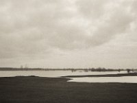 Das Wasser steigt in die Rheinwiesen  Fuji GS645S professional WIDE60, Bergger Pancro400  - 30.01.2021 -
