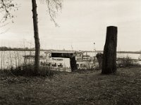 Abholzung für freien Blick ?  Fuji GS645S professional WIDE60, Bergger Pancro400  - 30.01.2021 -