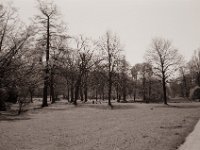 Schwelgern Park  Fuji GW 690 III, Rollei RPX 100@64 - 31.03.2021 -