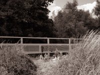 Letzte Station der Fahrt  Fuji GS645S professional WIDE60,  Fuji Acros 100II  - 01.07.2022 -