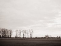Dorfansicht vom Feld aus  Fuji GS645S professional WIDE60, Fuji Acros 100 II  - 02.01.2022 -