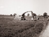 Land Art  Fuji GS645S professional WIDE60, Rollei RPX 100@64  - 02.05.2022 -