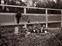 Letzter Besuch  Fuji GW 690 III, Bergger Pancro400  - 04.12.2022 -