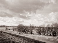 Rheinufer bei Duisburg Alsum  Fuji GS645S professional WIDE60, Fuji Acros 100II@64  - 05.02.2022 -