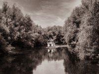 Seestern  Pentax MZ-S, SMC FA  1.9/43 Limited, Gelbfilter, Adox CHS 100 II  - 06.07.2022 -