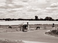 Verkaufsbude  Pentax MZ-S, SMC FA  1.9/43 Limited, Gelbfilter, Adox CHS 100 II  - 06.07.2022 -