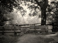 Rastplatz in der Hees  Fuji GS645S professional WIDE60, Rollei RPX 100  - 08.06.2022 -