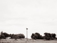 Storch und Camper  Fuji GS645S professional WIDE60, Rollei RPX 100  - 08.06.2022 -