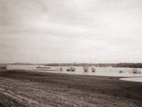 Wildgänse am Fluss  Fuji GS645S professional WIDE60, Fuji Acros 100 II@64  - 12.02.2022 -