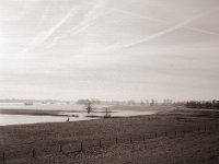 Rheinwiesen  Fuji GS645S professional WIDE60, Fuji Acros 100 II@64  - 12.02.2022 -