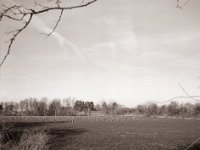 Wildgänse und Reiher  Fuji GS645S professional WIDE60, Fuji Acros 100 II@64  - 12.02.2022 -