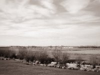 Weiden am Fluss  Fuji GS645S professional WIDE60, Fuji Acros 100 II@64  - 12.02.2022 -