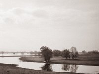 Rheinwiesen mit Hochwasser  Fuji GS645S professional WIDE60, Bergger Pancro400@200  - 13.04.2022 -