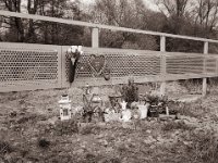 Erinnerung bei der Vorbeifahrt  Fuji GS645S professional WIDE60, Bergger Pancro400@200  - 13.04.2022 -